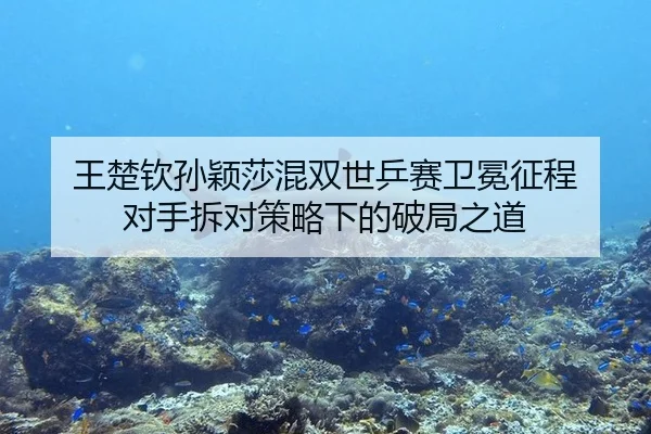 王楚钦孙颖莎混双世乒赛卫冕征程 对手拆对策略下的破局之道